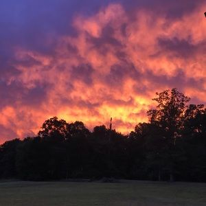 Meet your Posher, Kimberley